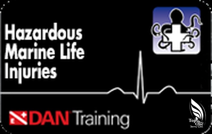 Locandina corso DAN — Hazardous Marine Life Injuries