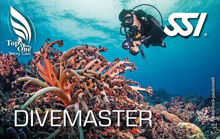 Locandina corso Divemaster