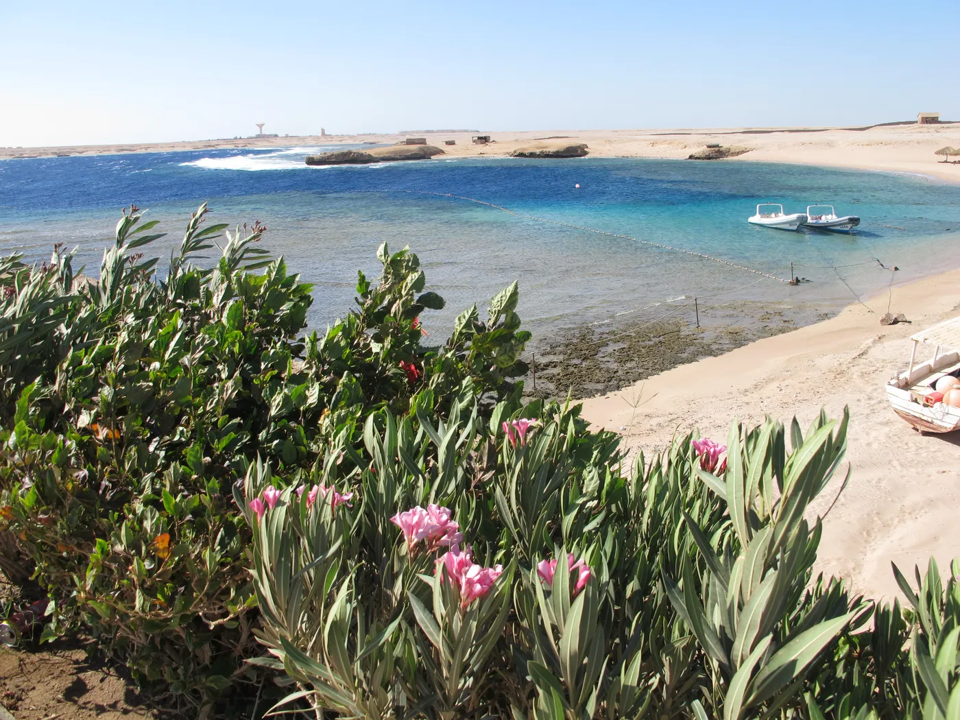 Guinness World Record 2015: briefing e allenamenti della squadra Top One Diving nel Mar Rosso (foto 11)