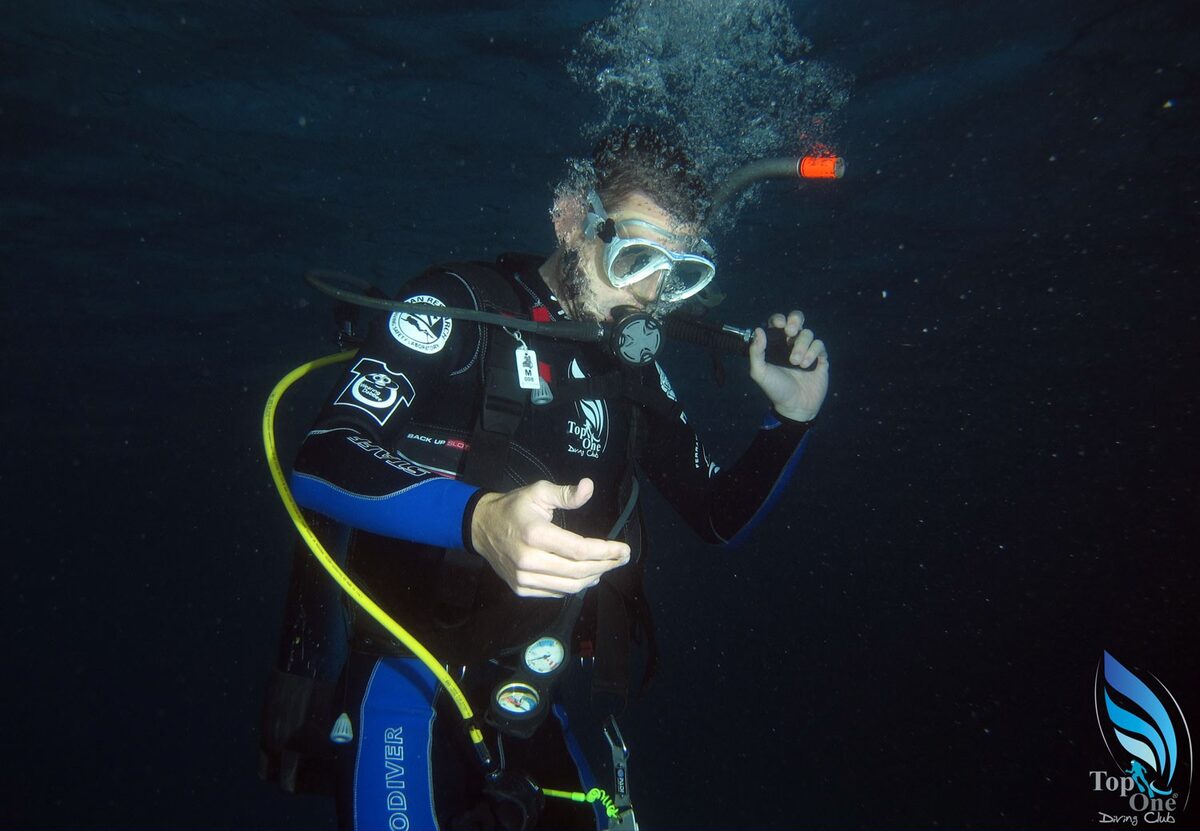 Top One Diving